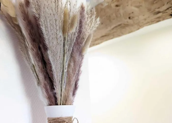 ベッド・アンド・ブレックファスト La Maison Millesime La Caunette