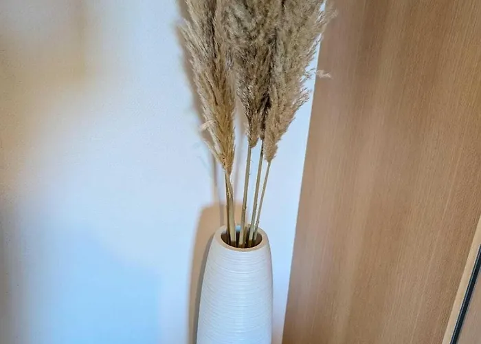 La Maison Millesime La Caunette